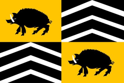 Vlag Vorselaar 100x150cm