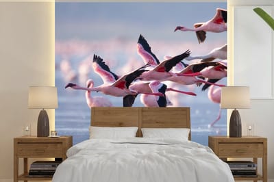 Behang - Fotobehang Flamingo - Vogel - Water - Roze - Breedte 300 cm x hoogte 300 cm