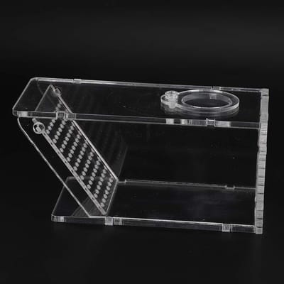 Dailygoods- Krabval Acryl - Eenrichtingsval - Vangdoos - Transparant - Veilig - Hygiënisch - 6 x 6 x 13 cm - Vissenval
