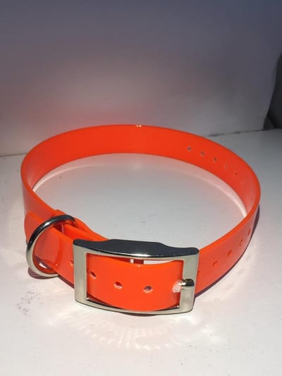 Halsband BioThane Gold Transparant - ORANJE - 450mmX19mm - dubbele gesp