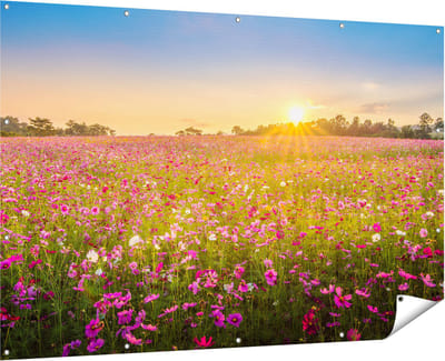 Gards Tuinposter Bloemenveld met Roze Kosmos - 180x120 cm - Tuindoek - Tuindecoratie - Wanddecoratie buiten - Tuinschilderij