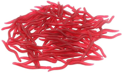 Dailygoods- Wormaas 100 Stuks - Kunstmatig Aas - Aardworm Vorm - PVC - Geschikt voor Karpers en Zilvers - Levenslange Zwemacties - Visaas