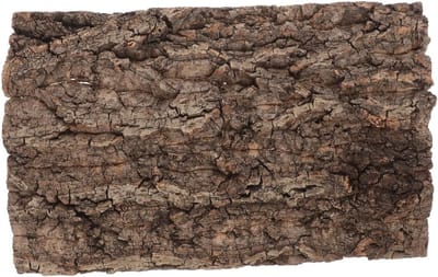 Decoratieve schorsplank voor aquarium en terrarium, kurk achterwand voor reptielen en vissen, natuurlijke achtergrond voor klimmende gekko's en andere huisdieren