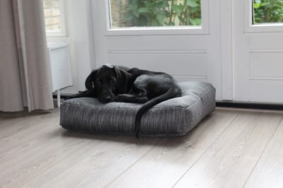 Dog's Companion Hondenkussen / Benchkussen - Tweet donkergrijs - 58 x 45 x 12 cm