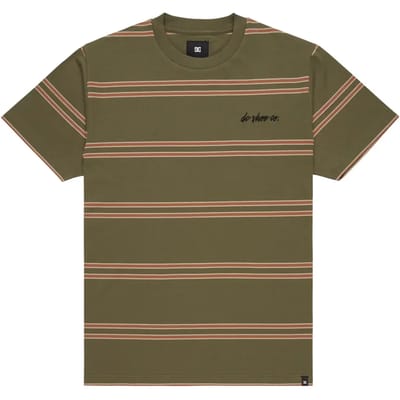T-shirt DC Shoes Maximize