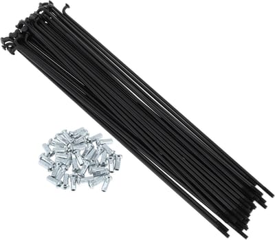 Bicycle Spokes 12G 220mm Lengte Fiets Spaken van Carbon Staal Zwart - Set van 1 voor Fietsreparatie en Vervanging