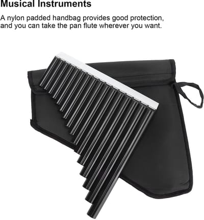 Dailygoods- Panfluit C-tune - Hoogwaardig ABS - 16-kleurige buis - Inclusief handtas - Eenvoudig te leren - Strenge tests voor geluid - Fluit