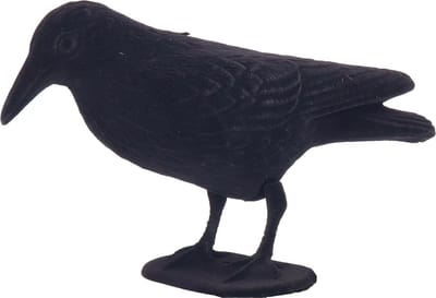 Fiestas Guirca Raaf/kraai Horror decoratie - zwart - 31 x 20 cm - Halloween dieren