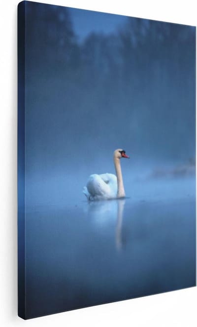 Artaza Canvas Schilderij Zwaan In Mist - 30x40 cm - Klein - Muurdecoratie Vogels - Wanddecoratie Woonkamer - Kamer Accessoires Water