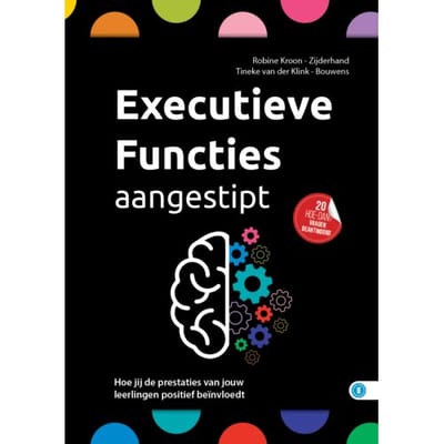 Executieve Functies Aangestipt - Hoe Dan? Serie - Tineke van der Klink-Bouwens