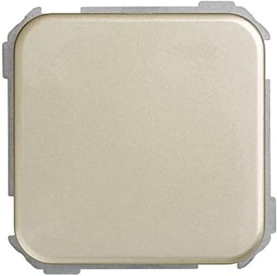 Blind Plaat - Afdekplaat Schakelaar - Muur Afwerken - Eenvoudige Installatie - 64 x 65 mm - Champagne