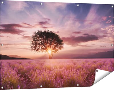 Gards Tuinposter Bloemenveld met Lavendel bij Zonsondergang - 120x80 cm - Tuindoek - Tuindecoratie - Wanddecoratie buiten - Tuinschilderij