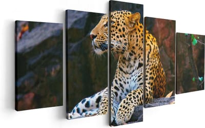 Artaza Canvas Schilderij Vijfluik Luipaard Op De Rotsen - 100x50 - Foto Op Canvas - Canvas Print
