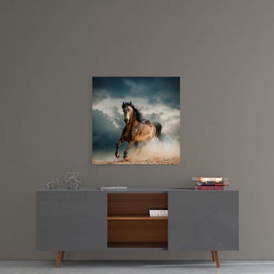 Insigne Glazen Schilderijen - Paard Glasschilderij - Dieren - Rennend Paard - Wanddecoratie - Foto Op Glas - 50x50 cm