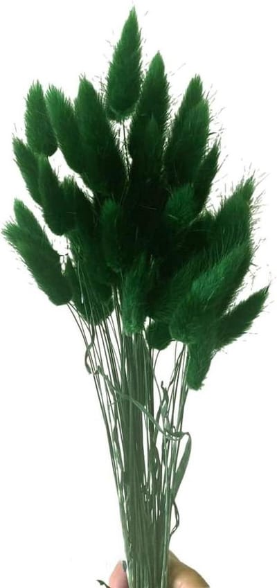 Gedroogd Pampasgras - Droogbloemen Boeket - Decoratie Huis - Natuurlijke Schoonheid - 50 Stuks - Donkergroen