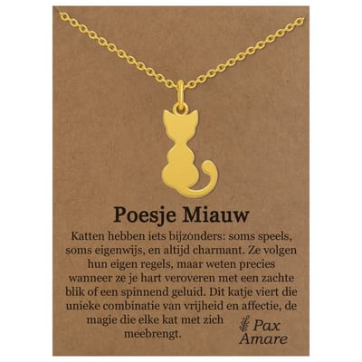 Stainless Steel Katje Ketting op Cadeau Kaartje Goudkleurig - "Poesje Miauw" - 45cm + 5cm Verstelbaar Roestvrij Staal - Schattige Cadeau Hanger - Pax Amare