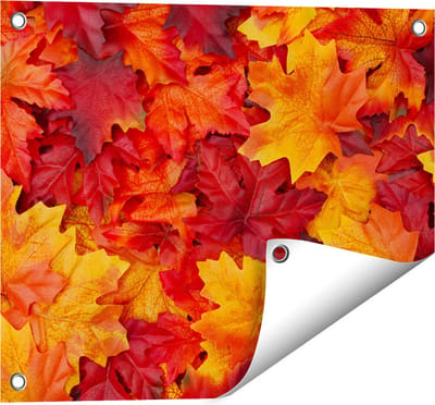 Gards Tuinposter Herfstbladeren in het Oranje en Rood - 50x40 cm - Tuindoek - Tuindecoratie - Wanddecoratie buiten - Tuinschilderij