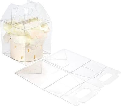 Plastic Doosjes 10.2 x 10.2 x 10.2 cm Kristalhelder met handvat (25 stuks) | transparante doosjes | doorzichtige doosjes