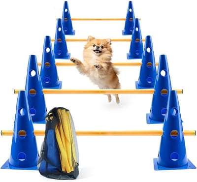 Agility Hordenset - Trainingshorden Kegels - Coördinatie Training - Verstelbare Hoogte - 10 Kegels 5 Staven - Blauw Geel