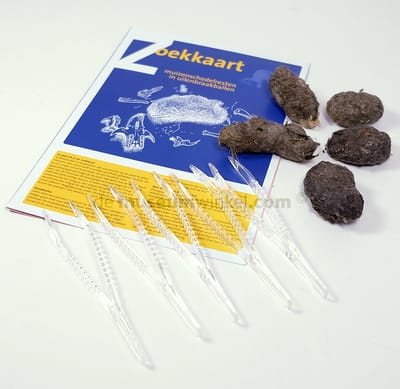Uitpluis-set met 25 braakballen van een uil, 5 pincetten en determinatiekaart