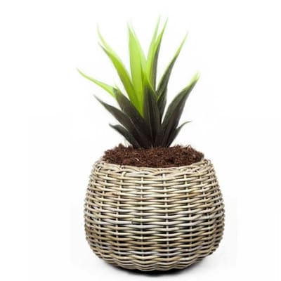 Van Der Leeden Planten/bloemen mand - rond - rotan - gevlochten riet - D57 x H44 cm - drypot