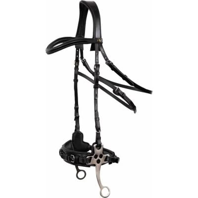 Anatomische hoofdstellen BR Equitation Lydney