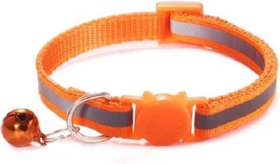 Kattenbandje met bel | Kattenhalsband| Veiligheidssluiting| Reflecterend| Verstelbaar| 17 kleuren| Oranje