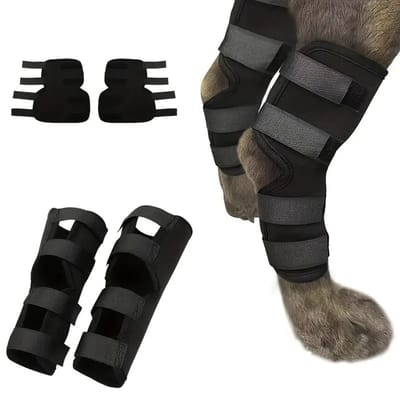 Neopreen compressiebandage voor hondenpoten voor en achter, beschermt letsel aan poten, verstuikingen, artritis, verstelbare riemen (S)