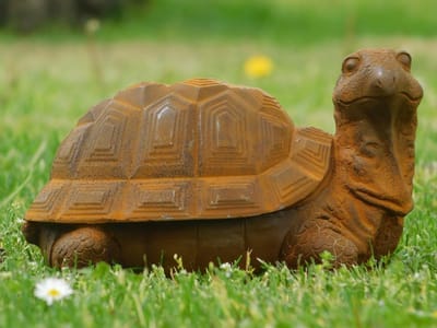 Beeld Schildpad | Gietijzer | Gedetailleerd