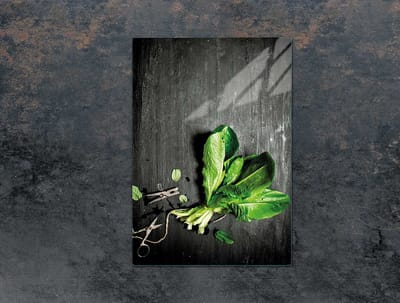 TMK ArtDeko - Snijplank van Gehard Glas - 35x52 cm - Basilicum - Anti-bacterieel