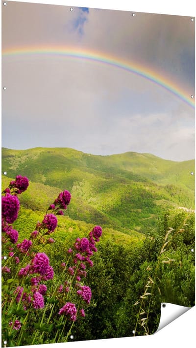 Gards Tuinposter Regenboog in de Heuvel Bossen - 120x180 cm - Tuindoek - Tuindecoratie - Wanddecoratie buiten - Tuinschilderij