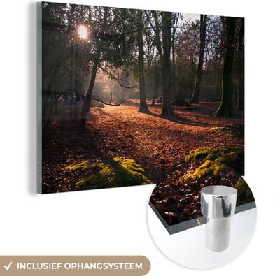 ® Glasschilderij 180x120 cm - Schilderij acrylglas - Doorbrekende zon in de bossen van het Engelse Nationaal park New Forest - Foto op glas - Muurdecoratie woonkamer - Wanddecoratie slaapkamer - Schilderijen