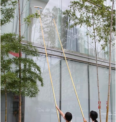 Raamwisser Set - Raamreiniger Stok - Hoge Ramen Wassen - Verstelbare Lengte - Tot 95 Meter - Zilver