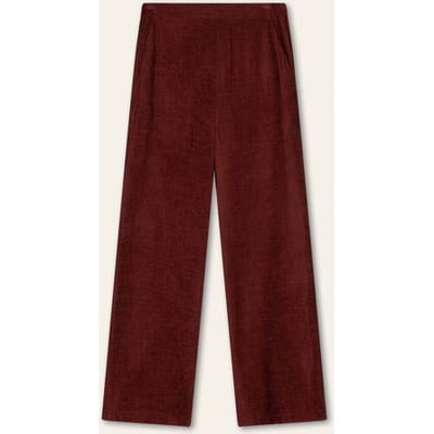 Oilily Pentra Broek- maat34 Hot Chocolate