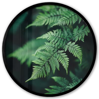 Poster in lijst Rond - Fotolijst 40x40 cm - Posters - Varenblad - Groen - Structuur - Wazig - Ronde posterlijst zwart - Decoratie - Wanddecoratie woonkamer - Muurdecoratie slaapkamer