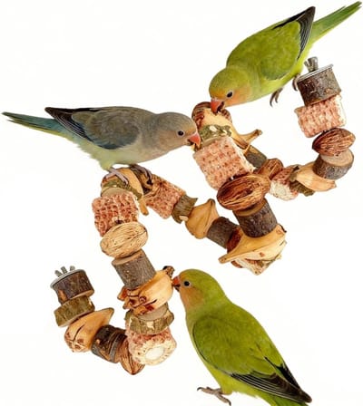 Trespolo voor Papegaaien, 80 cm, Flexibele Zitstaaf met Metaaldraad voor Natuurlijke Vogels, Ideaal voor Kleine en Middelgrote Cockatiels en Andere Papegaaien