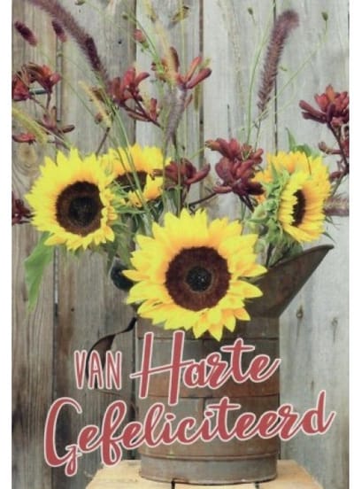 Van harte gefeliciteerd met je verjaardag! Een bijzondere kaart met een afbeelding van een bos zonnebloemen. Leuk om zo te geven of om bij een cadeau te voegen. Een dubbele wenskaart inclusief envelop en in folie verpakt.