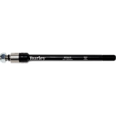 Dwarsas Burley