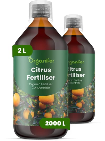 Vloeibare Meststof Voor Citrus 2X1 L Voor 2000 L - Npk 2-1-8 - Citrussoorten - Krachtige Groei - Bloei - Sterke Vruchtzetting - Sterke Wortels - Aromatische Vruchten - Hittebestendig - Bladkleur - Gezonde Kroon - Binnen-Citrus - Organifer