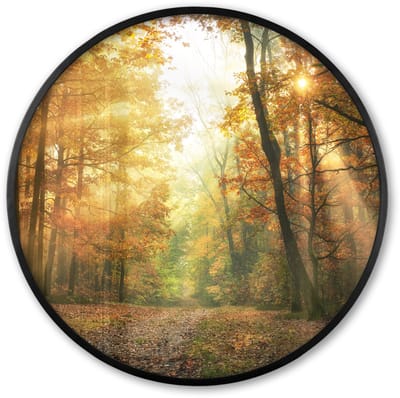 Poster in lijst Rond - Fotolijst 60x60 cm - Posters - Bos - Herfst - Zon - Landschap - Natuur - Bomen - Bladeren - Ronde posterlijst zwart - Decoratie - Wanddecoratie woonkamer - Muurdecoratie slaapkamer