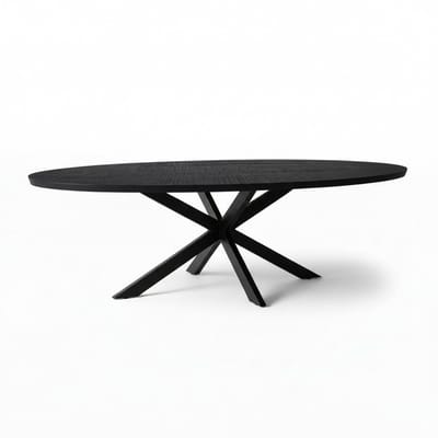 Sfeerwonen Enzo - Eettafel - Ovaal – 200x100 cm – Mangohout – Zwart – Matrix Onderstel