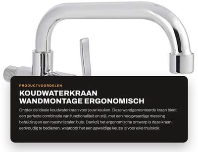 Koudwaterkraan Wandmontage - Messing Behuizing - Roestvrij Stalen Buis - Ergonomische Handgreep - 360 Graden Draaiend - Duurzaam en Explosiebestendig - Keukenkraan