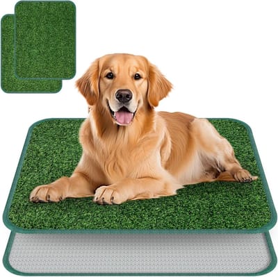 Set van 2 Kunstgras Hondentoiletten 58 x 46 cm, Herbruikbare Training Pads, Puppy Toilet voor Binnen en Buiten, Ideaal voor Hondenopvang en Zindelijkheidstraining