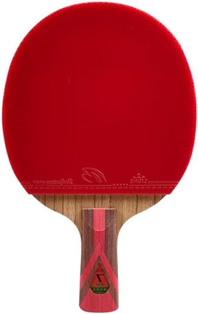 Tafeltennisrackets - Pingpongbat - Sport Spel - 7-laags Hout - One Size - Rood