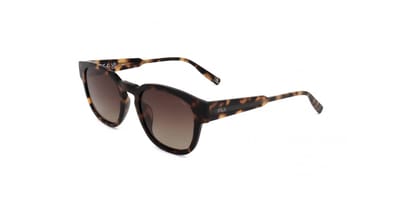 Fila SFI310V Shiny havana 51/21/140 UNISEX Zonnebrillen