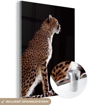MuchoWow® Glasschilderij 120x160 cm - Schilderij acrylglas - Cheeta - Dieren - Licht - Foto op glas - Schilderijen