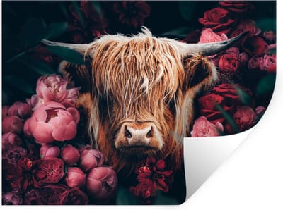 Muurstickers - Sticker Folie - Koe - Schotse hooglander - Bloemen - botanisch - 40x30 cm - Plakfolie - Muurstickers Kinderkamer - Zelfklevend Behang - Zelfklevend behangpapier - Stickerfolie