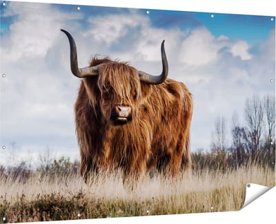 Gards Tuinposter Schotse Hooglander Koe - Kleur - 180x120 cm - Tuindoek - Tuindecoratie - Wanddecoratie buiten - Tuinschilderij