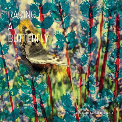 Racing A Butterfly