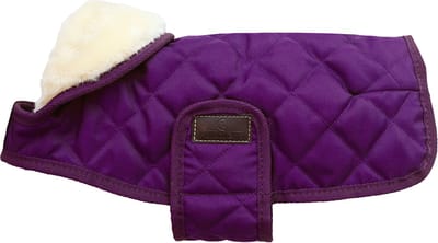 Dog Coat Original Royal Purple